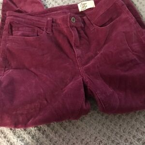 Corduroy Straight Leg Pants - Burgundy